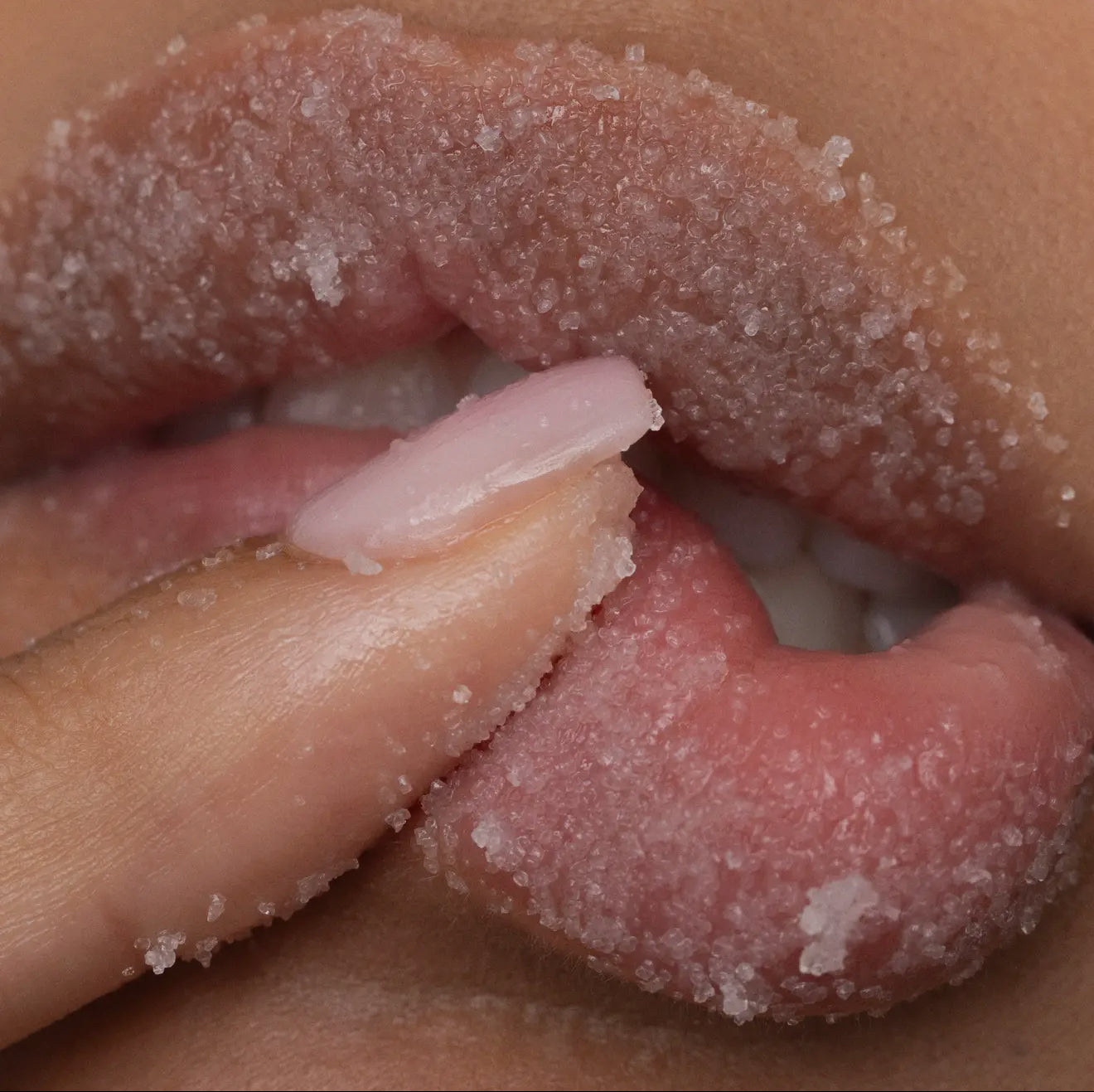 POPPY & POUT LIP SCRUB